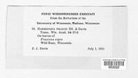 Image Associated With the Occurence